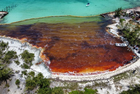 Bahamalar'da denize 113 metreküpten fazla petrol sızıntısı yaşandı