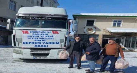 Damızlık koyun yetiştiricileri birliğinden deprem bölgesine yardım