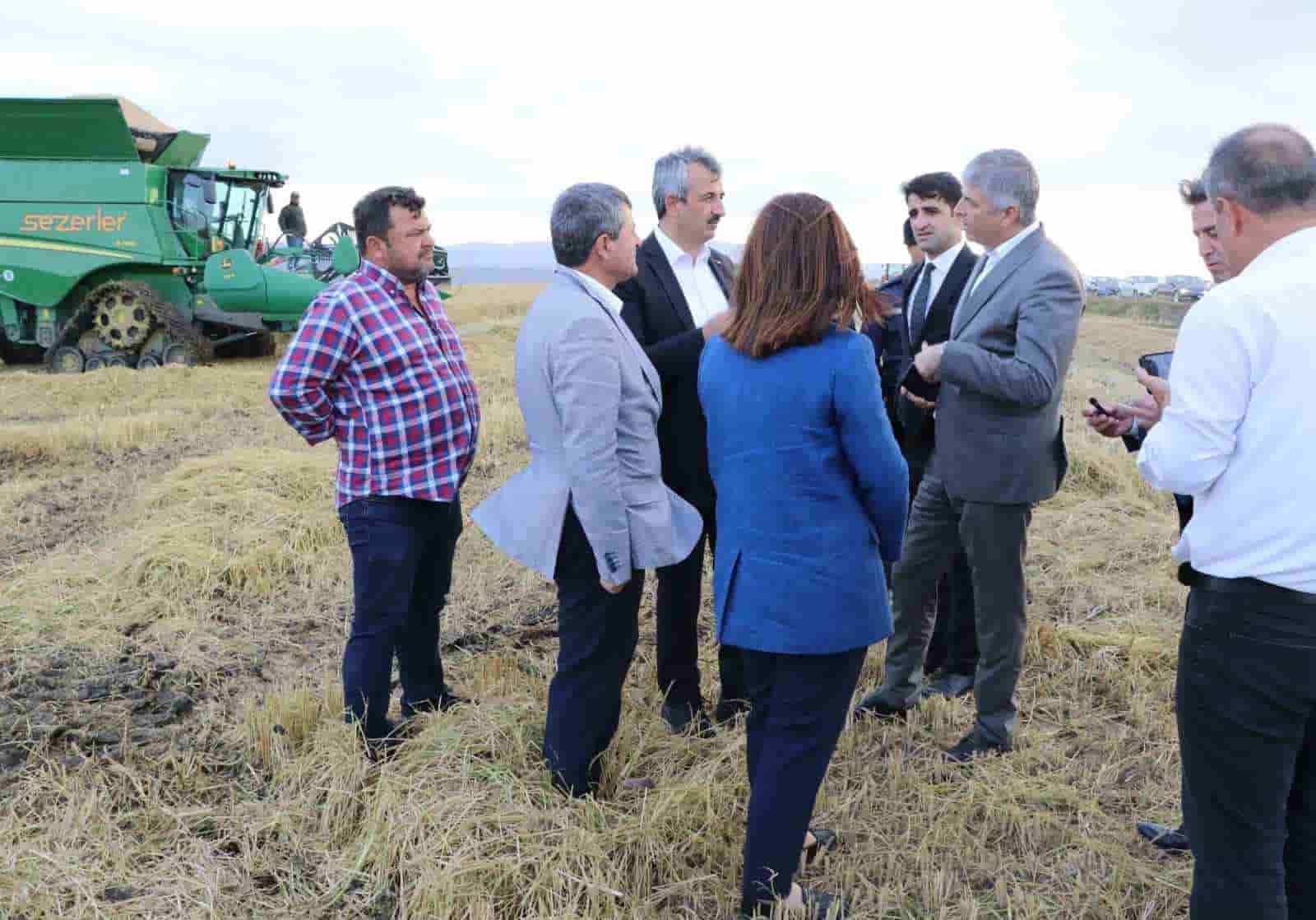 Edirne’de ’beyaz altın’ın hasadı başladı