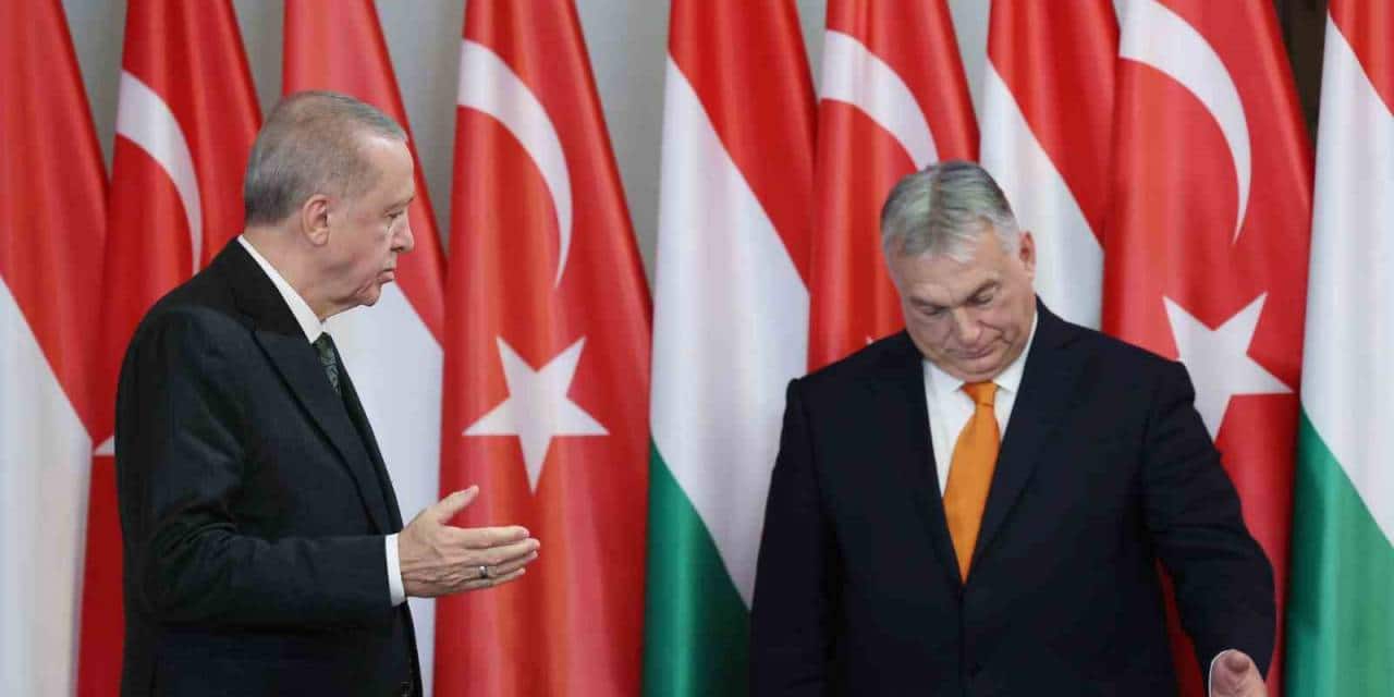 Erdoğan: “Gazze’de İsrail vahşetinin bir an önce sona ermesi için diplomatik çaba harcıyoruz'