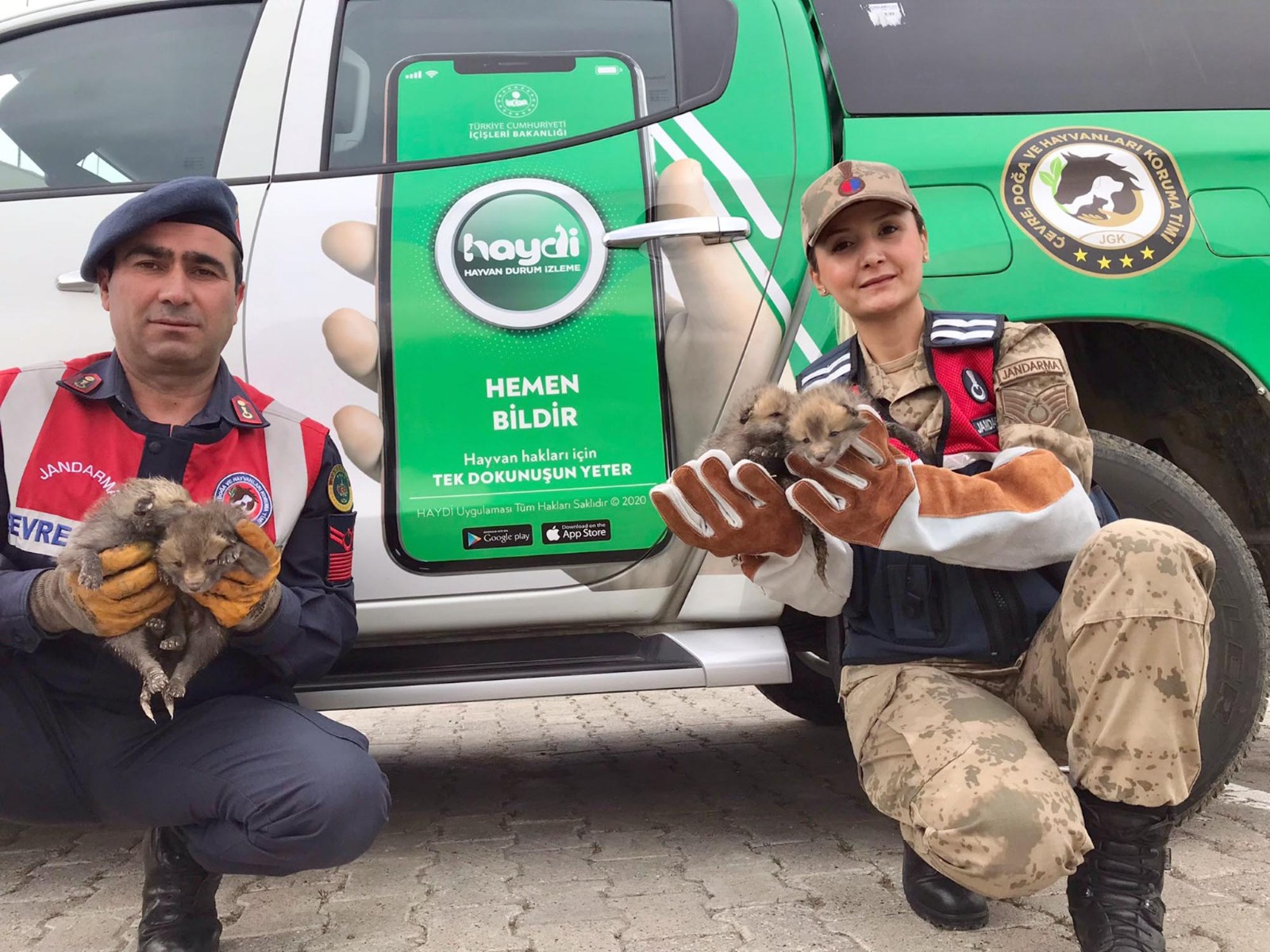 Jandarmanın köpeği anneleri ölen 4 tilki yavrusuna süt anneliği yaptı.