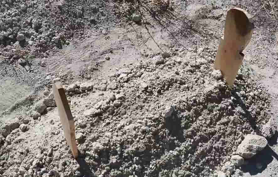 Kırşehir’de boş arazide bebek cesedi bulundu