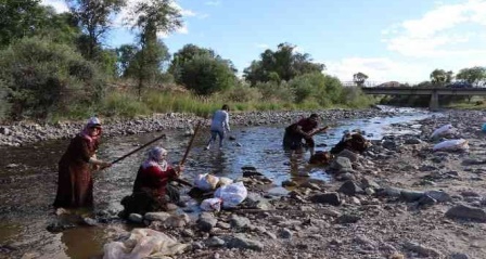 Oltu Çayı'nda yün yıkamaya başladılar