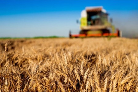Tarım-GFE yıllık yüzde 138,15 arttı