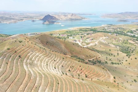 Tunceli’de 56 bin fidan toprakla buluştu