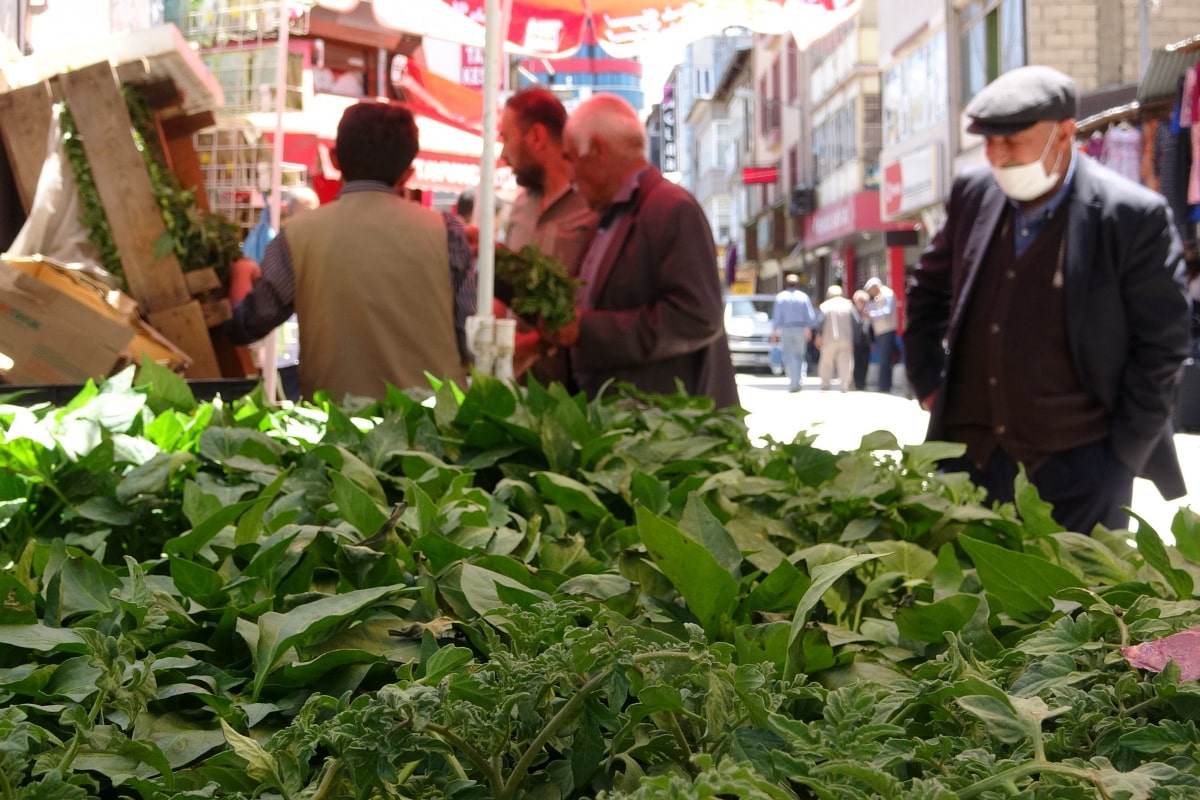 Van'da sebze fideleri yoğun talep görüyor